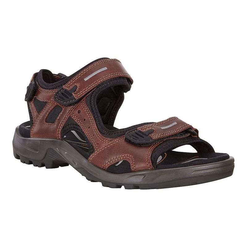 Sandalias Ecco Offroad Para Hombre,Marrones,327068-EJK